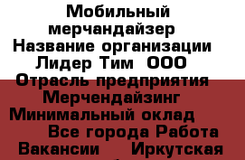 Мобильный мерчандайзер › Название организации ­ Лидер Тим, ООО › Отрасль предприятия ­ Мерчендайзинг › Минимальный оклад ­ 23 000 - Все города Работа » Вакансии   . Иркутская обл.